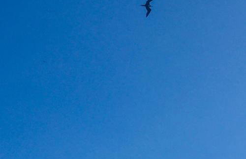 Apartamento Porto Beiramar - Foto 54