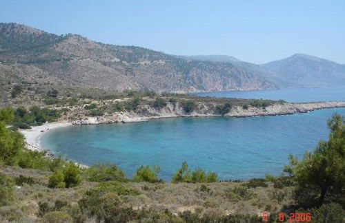 White lilies the house of gourmet flavours - Foto 48