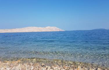 Apartment Magic - Photo 2