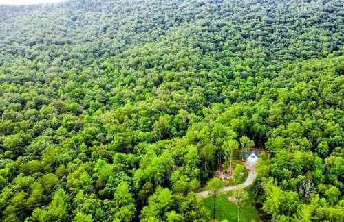 White Owl Cottage - Foto 6