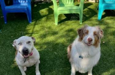 Flamingo Casita - Wander through a Garden Hideaway with Shared Pool - Foto 11