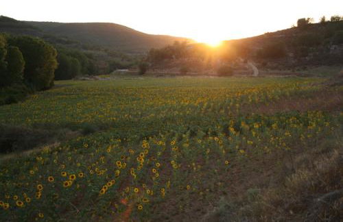 Casa Rural Mayoral (Barriopedro) - Foto 25