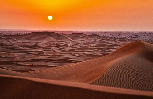 Observación de Estrellas en el Desierto - Tour de Medio Día - Foto 3