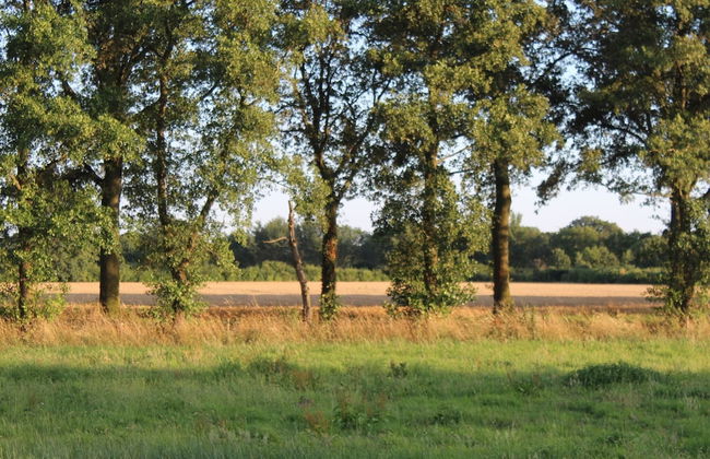 Farmhouse in De Heurne With Animal Farm - Foto 36