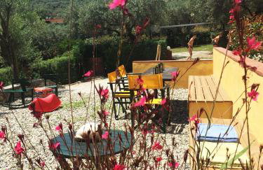 The Yellow Houses - Photo 15