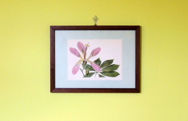 Agriturismo Cantagallo - Foto 11