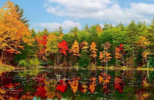 Luxury Farm Stay-Bonds Corner Bungalow-Wolf Pine Hollow - Foto 16