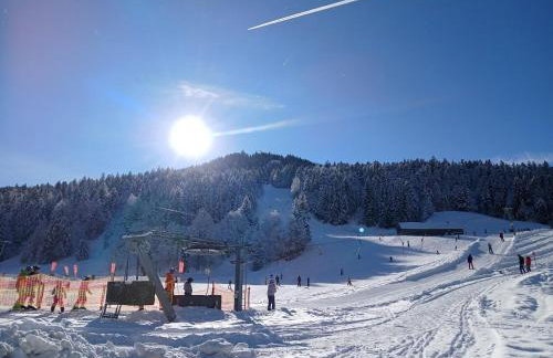 Ferienhof Steurer - Photo 31