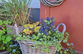 Ferienhaus Hinterlandswald - Foto 49