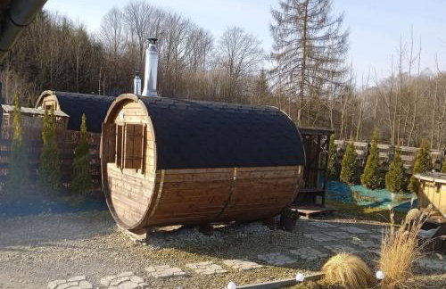 Bieszczadzkie Wzgórze Saunowe- Jacuzzi i Sauna w cenie pobytu - Foto 40