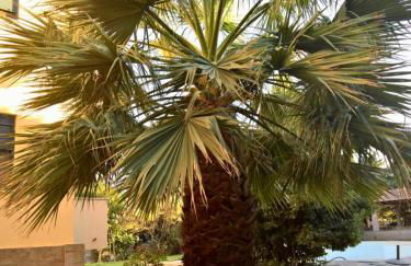 Villa Marita - Photo 23