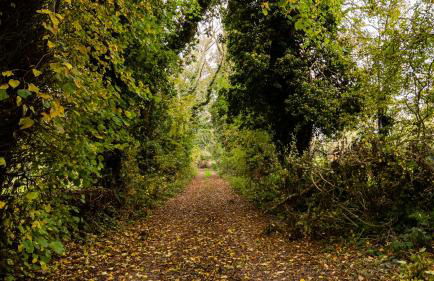 Whitehill House Farm Banbridge - Foto 21