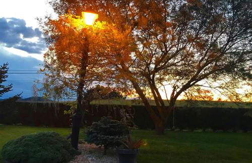 Argizu Etxea - Foto 2