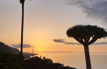 Exotic Ocean View Apartment - Foto 23