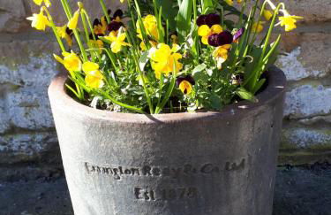 Greystones Lodge - Foto 24