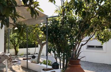 White Oasis Samos-Retreat - Foto 44