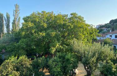 Zirganos Horton Pelion Apartment 2 - Foto 5