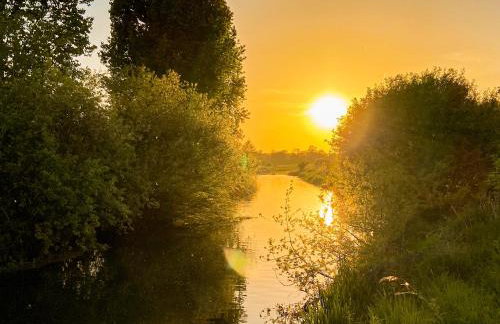 Eden Cottage - Foto 24