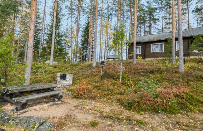 Mäntykumpu - Foto 20