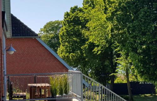 Ferienwohnung Mönchgut 1 mit Wintergarten und Terrasse - Foto 47