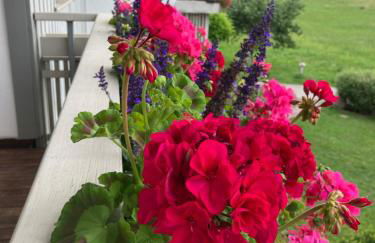 Wald & Wiesen Landhaus Kurzemann - nahe Bodensee - Foto 14