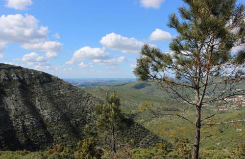 Renovated Wine Press House - WITH POOL - Foto 45