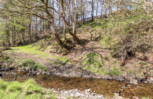 Nant Y Celyn - Foto 44