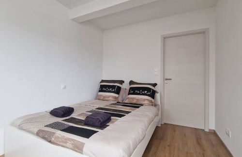 Le frontalier appart - Foto 8