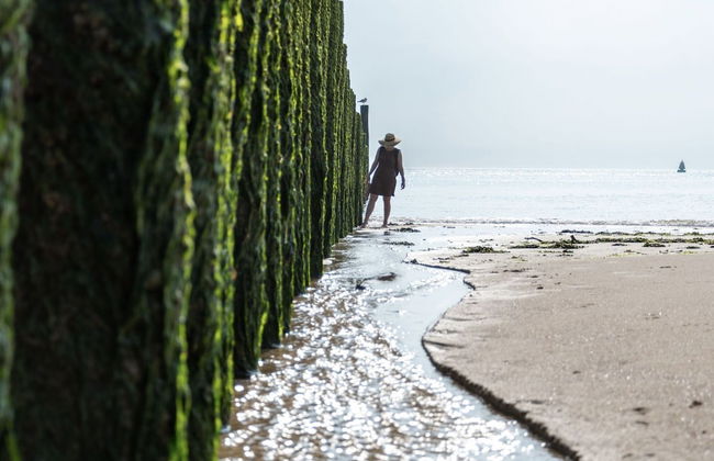 Comfortable Chalet With Airco, on a Holiday Park, at Just 1 km. From the Beach - Foto 21