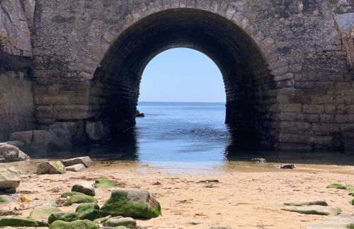 O Refúgio do Moedinhas - Foto 25