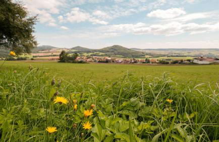 Ferienwohnung Liebelt in Mitgenfeld , bayerische Rhön - Foto 35