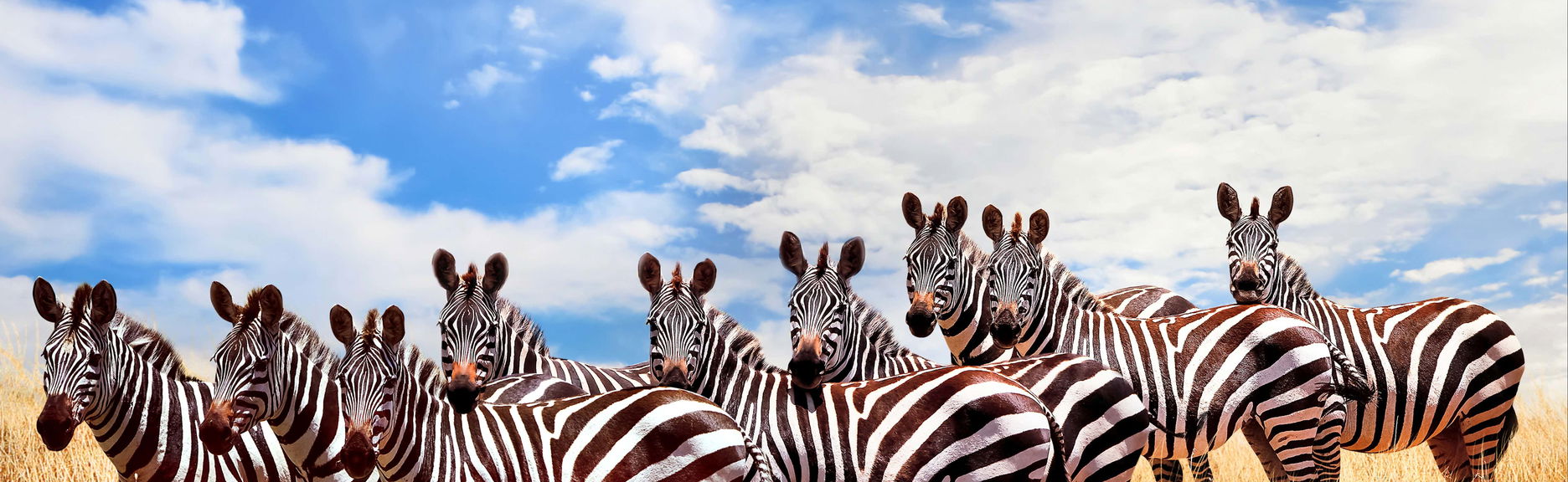 Safari de 6 días por Masái Mara, Amboseli y lago Naivasha