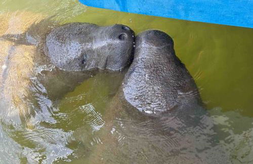 Lavender Life - Foto 53