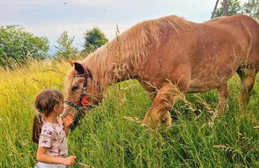 Dom na Kamieńcu - Photo 15