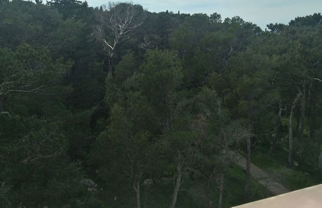 Aparthotel Miramare - Foto 31