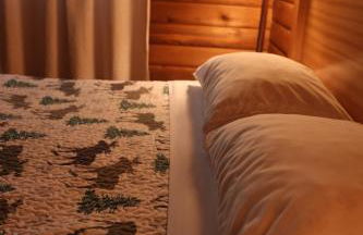 Cedar at Rainier Lodge (0.4 m from Mt.Rainier) - Photo 14