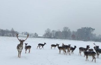 Smocze Ranczo 3 - Foto 69