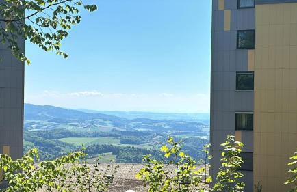 Ferienglück Geyersberg - Foto 39