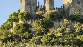 Casa Manolín - Foto 2