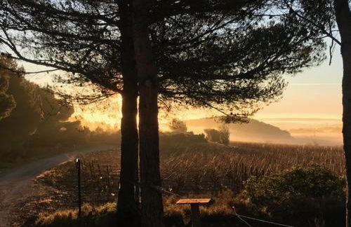 Le Doul Jolie villa au calme climatisée grande piscine jardin - Foto 25