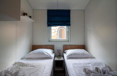 Iguana - Das Tiny Haus am Reptilienzoo Reptilium - Foto 6