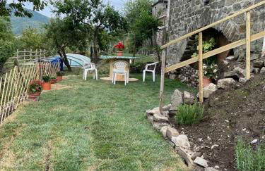 THE DORMOUSE - Il Ghiro - Foto 39