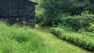 Green River Cottage - Foto 4, Garden view
