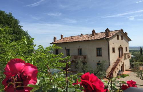 Poggio Olivo - Foto 16