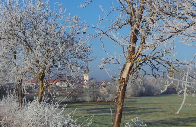 Holiday Apartment Old Town Hall - Foto 31