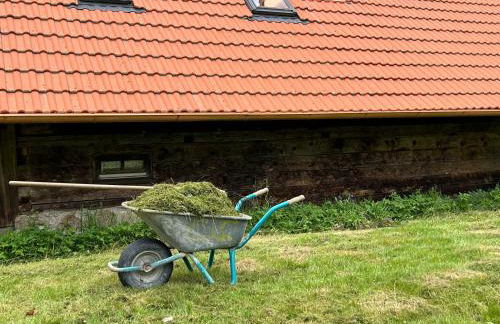 Ferienhaus // Waldlerhaus - Bayern - Bayerischer Wald - Foto 31