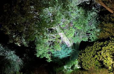 Serra Boutique Villa & Spa - Foto 42