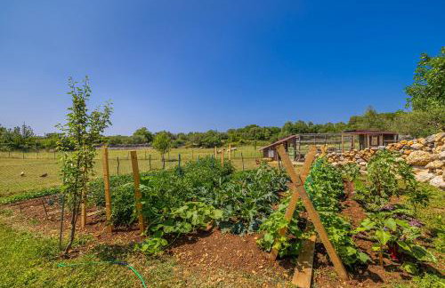 Villa Franolic - Photo 37