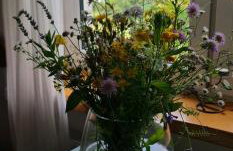 Agroturystyka TWÓJ KĄCIK - Foto 2