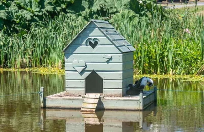 Frankaborough Farm Holiday Cottages - Photo 53